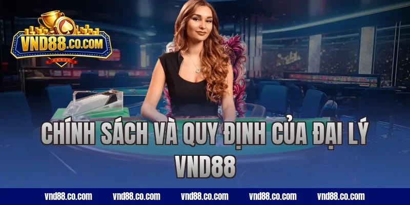 Chính sách và quy định của đại lý VND88