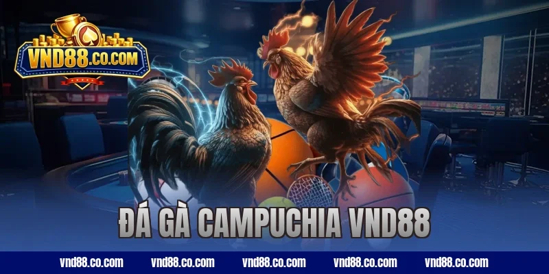 đá gà Campuchia VND88