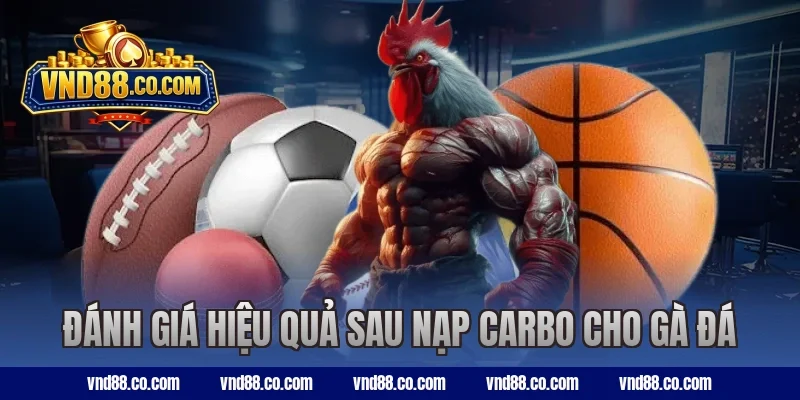 Đánh giá hiệu quả sau nạp carbo cho gà đá