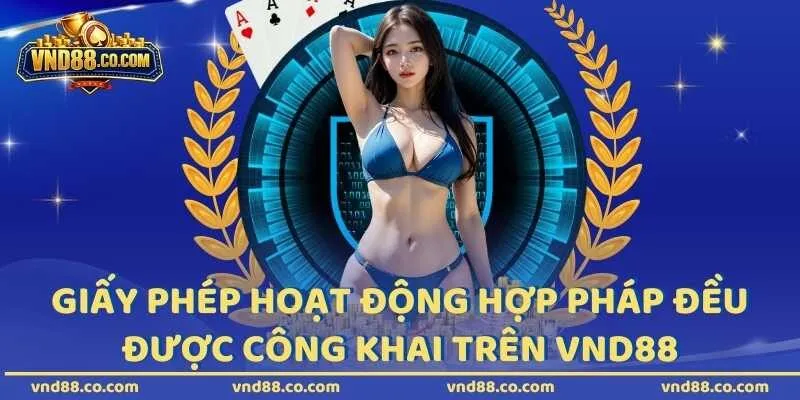 Tất cả giấy phép hoạt động hợp pháp đều được công khai trên VND88