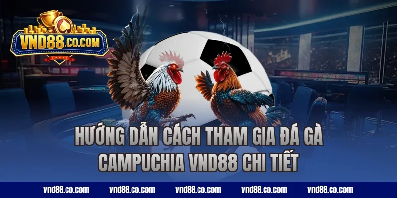 Hướng dẫn cách tham gia đá gà Campuchia VND88 chi tiết