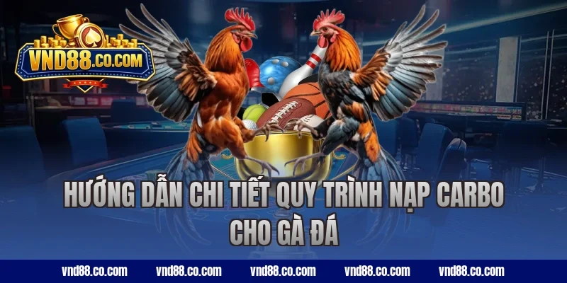 Hướng dẫn chi tiết quy trình nạp carbo cho gà đá