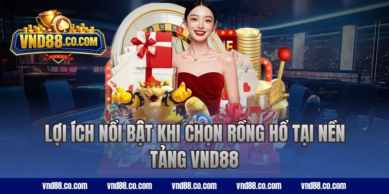 Lợi ích nổi bật khi chọn rồng hổ tại nền tảng VND88