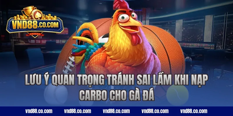 Lưu ý quan trọng tránh sai lầm khi nạp carbo cho gà đá