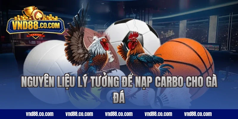 Nguyên liệu lý tưởng để nạp carbo cho gà đá