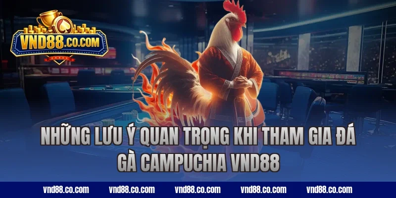 Những lưu ý quan trọng khi tham gia đá gà Campuchia VND88