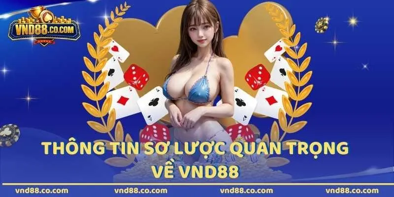 Thông tin sơ lược quan trọng về VND88