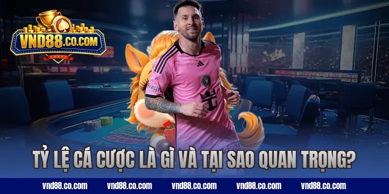 Tỷ lệ cá cược là gì và tại sao quan trọng?